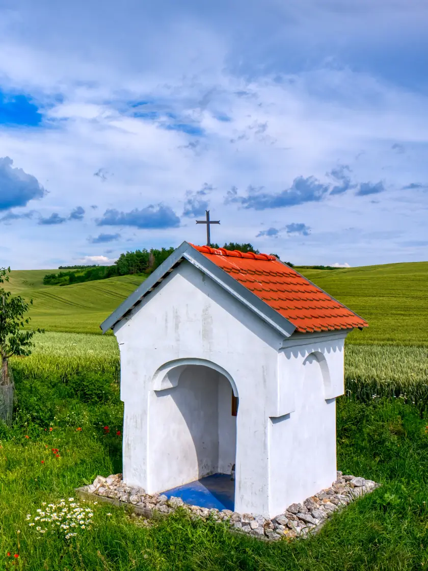 Bílá polní kaplička u obilného lánu