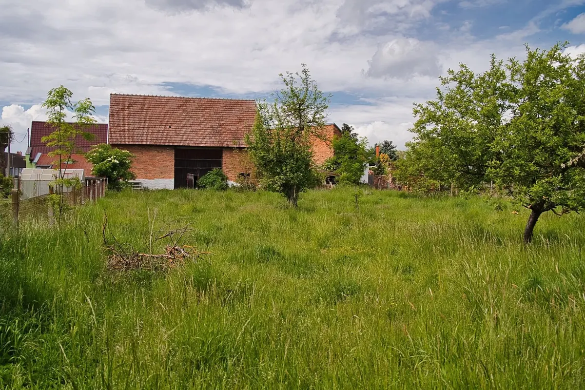 Travnatý pozemek se vzrostlými stromy a hospodářskou budovou v pozadí